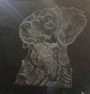 White chalk drawing of a dinosaur-like head in profile on a dark surface, facing left.